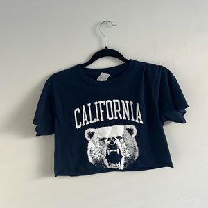 Blue PacSun crop top